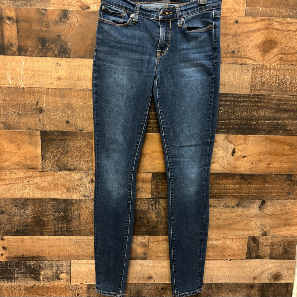 Lucky Brand Brooklyn Skinny Size 2/26 Regular
Stretch Medium Wash